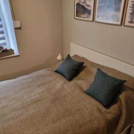 公寓 Pod Jeleniem *